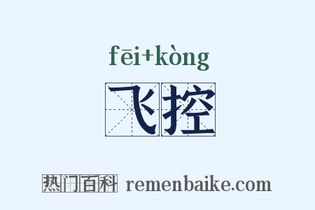 飞控是什么意思的图片